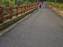 -杭州半山国家森林公园