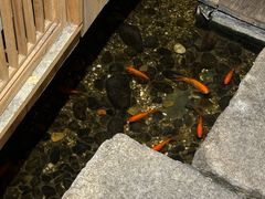 -邈墨茶馆(凤起路店)