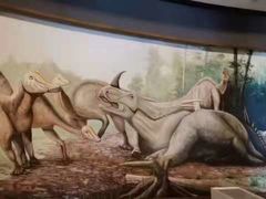 -抱璞文化展示中心