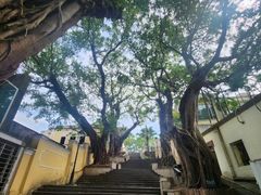 -龙环葡韵住宅式博物馆