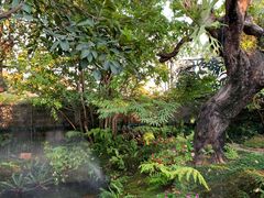 -Chom Cafe and Restaurant