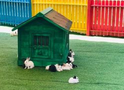 -萌宠亲子动物乐园(槐房万达店)