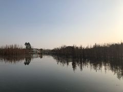 -白鹭湾湿地公园