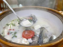 千岛湖浓汤鱼头-全乐鱼馆·淳牌有机鱼直营店