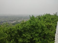 -上海佘山国家森林公园西佘山园