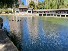 -团结湖公园