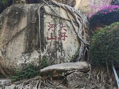 -南普陀寺