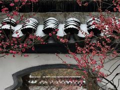 -梅花山(明孝陵内)