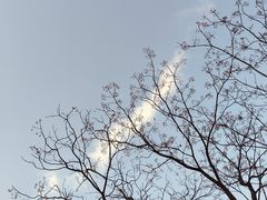 -皤滩古镇