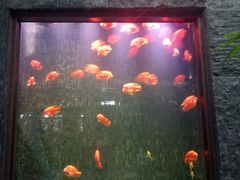 -弘安丽水温泉酒店
