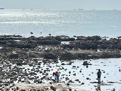 -青岛第二海水浴场