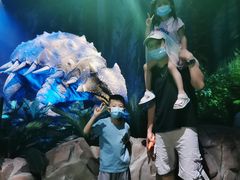 -侏罗纪世界电影特展(广州站)
