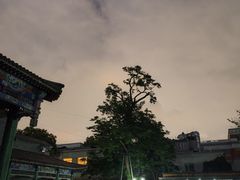 -宣武艺园