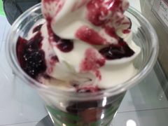 -Salud撒露欧洲冻酸奶(北苑上品店)