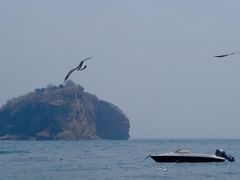 -棒棰岛宾馆景区