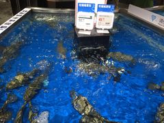 -盒马鲜生(莱蒙都会店)