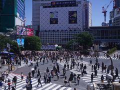 -涩谷全向十字路口