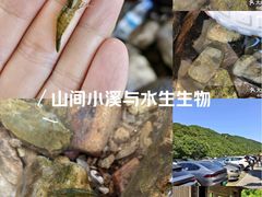-北仑森林植物园