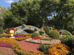 -上海共青森林公园