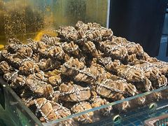 -九月海·海鲜自助(世纪东方店)