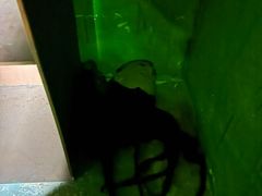 -567·密室逃脱(大良店)