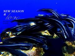 -江和美海洋公园