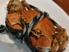 -威海蓝海御华大饭店·蓝钻美食自助百汇