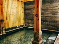 -成都蓝城悦杏温泉美食酒店(宽窄巷子店)