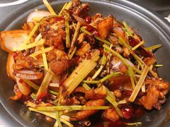 干锅牛蛙-京韵胡同·酱香羊蝎子火锅涮肉(长寿路店)