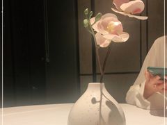 -花城苑广府菜(侨鑫店)