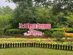 -上海野生动物园