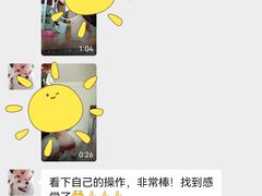 -多乐狗狗宠物训练工作室