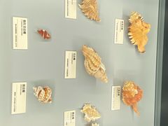 -天津古林古海岸遗迹博物馆