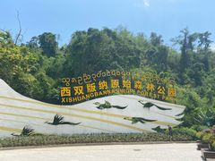 -西双版纳原始森林公园