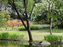 -上海滨江森林公园