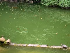 -杭州西湖风景名胜区-三生石
