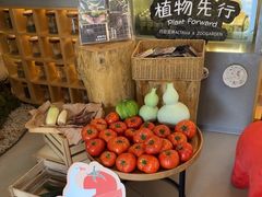 -中国天府农业博览园