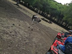 -卡塞拉自然公园
