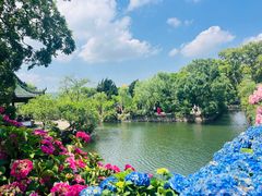 -无锡蠡湖国家湿地公园-蠡园