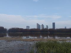 -艾溪湖湿地公园