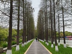 -圩墩遗址公园