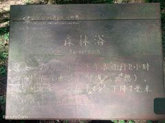 -武陵山森林公园