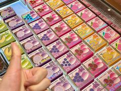 -卡滋贝诺动物奶油生日蛋糕(常熟万达店)