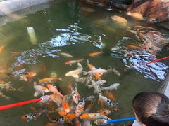 -荆州中山公园动物园