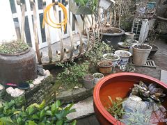 -猫色咖啡·猫咖