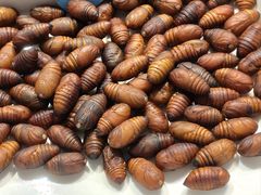 -渔港甄宴·海鲜·地标烟台菜(金沙滩店)