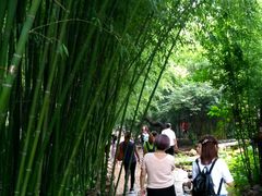 -竹泉村旅游度假区