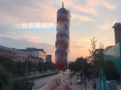 -和禄德冰糖葫芦