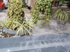 -老灶房-四川土菜(开元店)