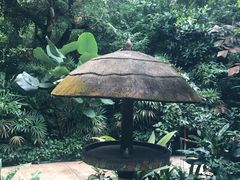 -新加坡飞禽公园